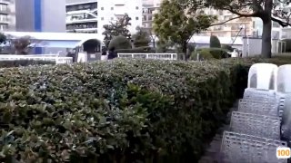 欧美色图国产精品,成人视频高清免费观看